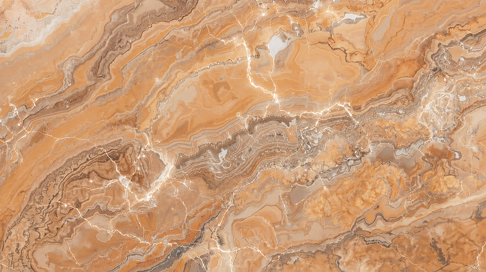 A textural close-up in golden light
