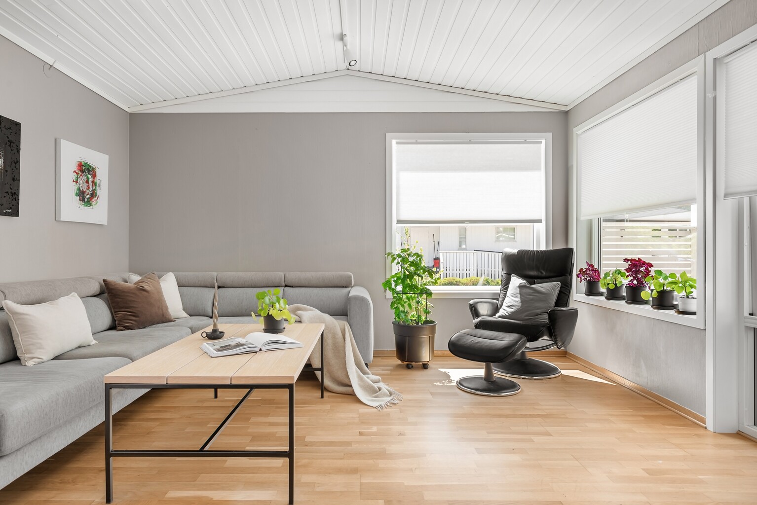 The same room virtually staged with a sofa, table and plants